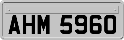 AHM5960