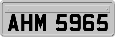 AHM5965