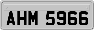 AHM5966