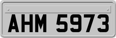 AHM5973