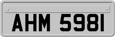 AHM5981