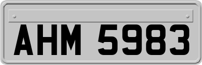AHM5983
