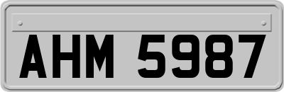 AHM5987