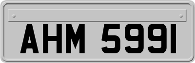 AHM5991