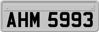 AHM5993