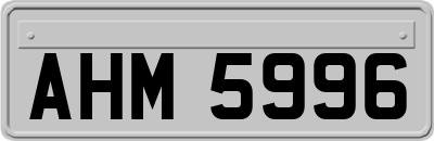 AHM5996