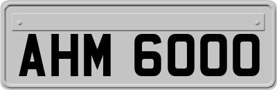 AHM6000
