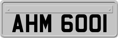 AHM6001