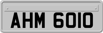 AHM6010
