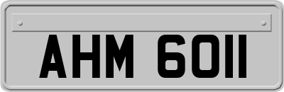 AHM6011