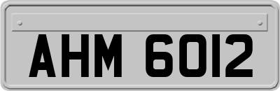 AHM6012