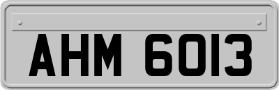 AHM6013