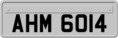AHM6014