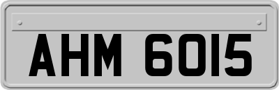 AHM6015