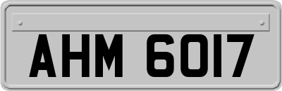 AHM6017