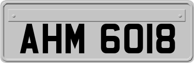 AHM6018