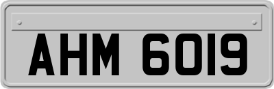 AHM6019