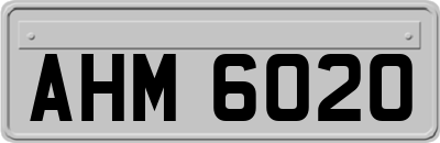 AHM6020