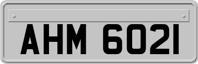 AHM6021