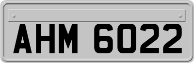 AHM6022
