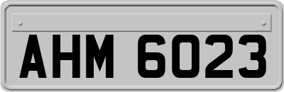 AHM6023