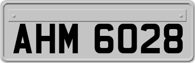 AHM6028