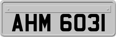 AHM6031