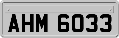 AHM6033