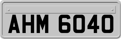 AHM6040