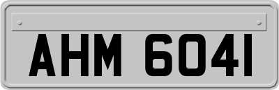 AHM6041