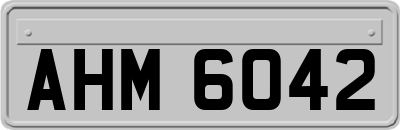 AHM6042