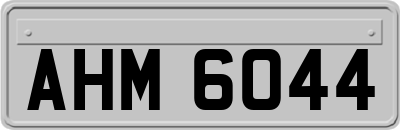 AHM6044