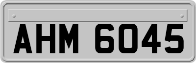 AHM6045