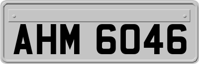 AHM6046