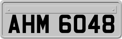 AHM6048