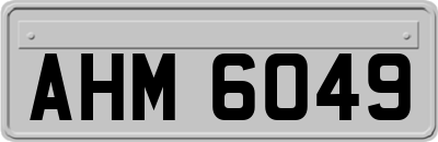 AHM6049
