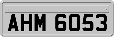 AHM6053