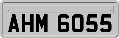 AHM6055
