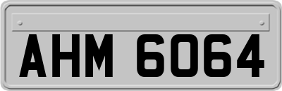 AHM6064