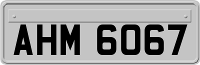 AHM6067