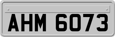 AHM6073