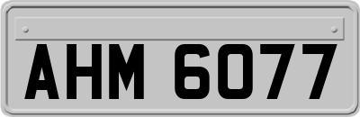 AHM6077