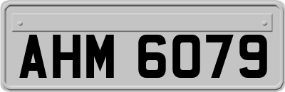 AHM6079