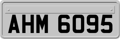 AHM6095