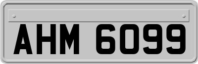 AHM6099