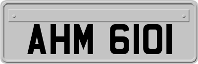 AHM6101