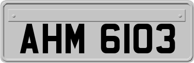 AHM6103