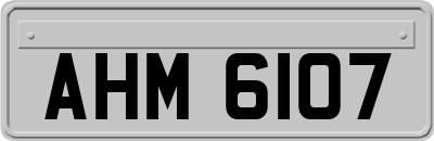 AHM6107