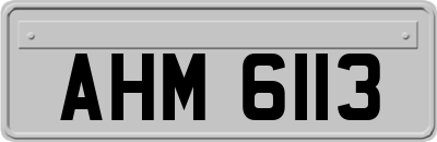 AHM6113