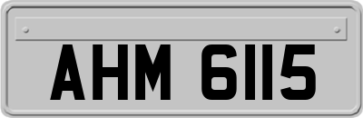 AHM6115